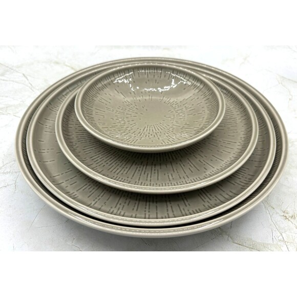 Schönwald Germany 620 Porcelain Plate Set of 4 Radial Pattern Gray Frost Shiro - Picture 2 of 16